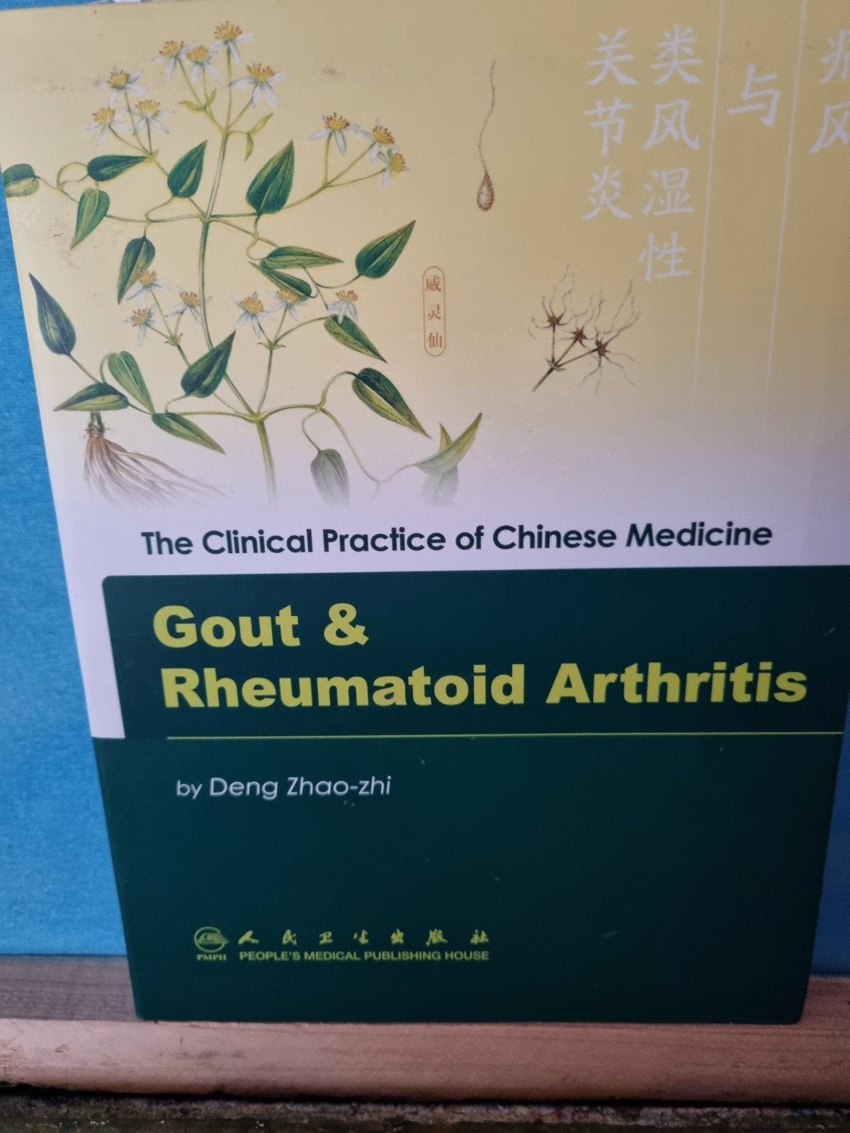 Chinese Medicine: Gout & Rheumatoid, Deng Zhao-zhi, Ophalen of Verzenden, Beta, WO