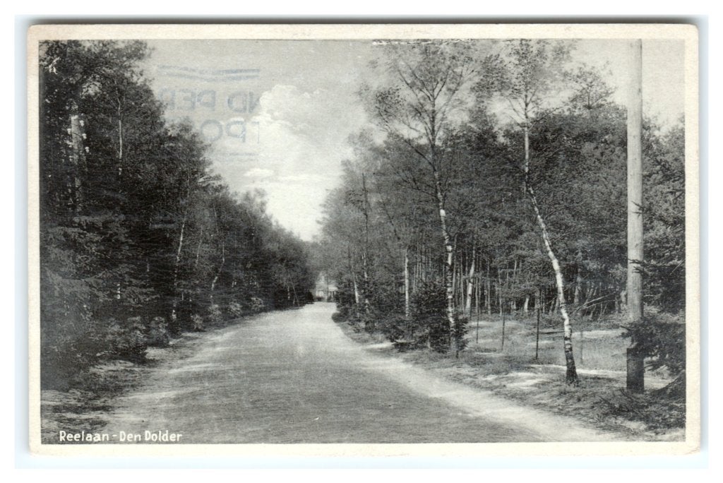 Den Dolder, Reelaan, Ophalen of Verzenden, 1920 tot 1940, Gelopen, Utrecht