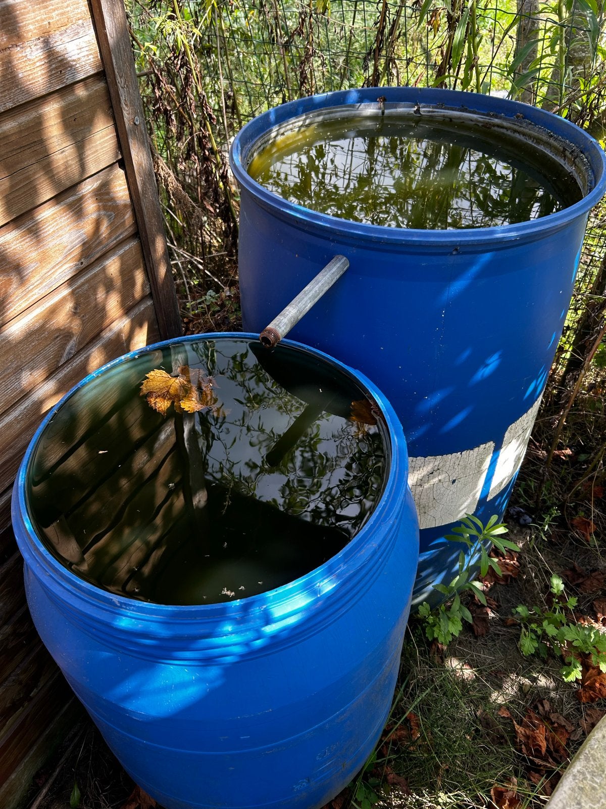 Regentonnen set - 2x 150 liter, Tuin en Terras, 150 liter of meer, Ophalen, Gebruikt, Kunststof