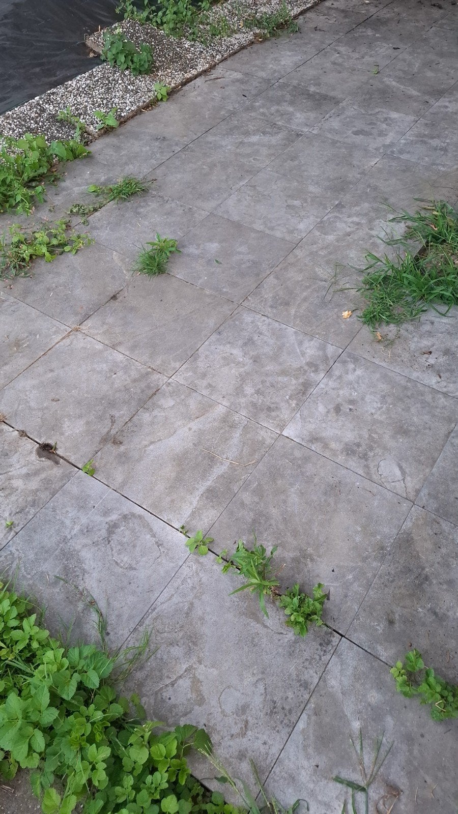 Gratis betontegels 40x40 cm - 14m² zelf verwijderen, Doe-het-zelf en Verbouw, Tegels, Ophalen, Gebruikt, 40 tot 60 cm, 10 m² of meer