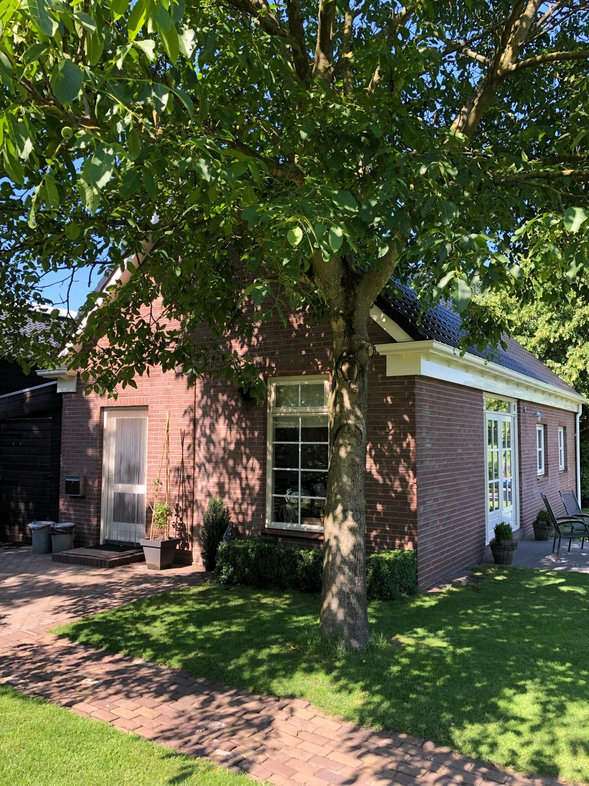 Zomerhuisje met zwembad in Drenthe (last minut in juli), Zwembad