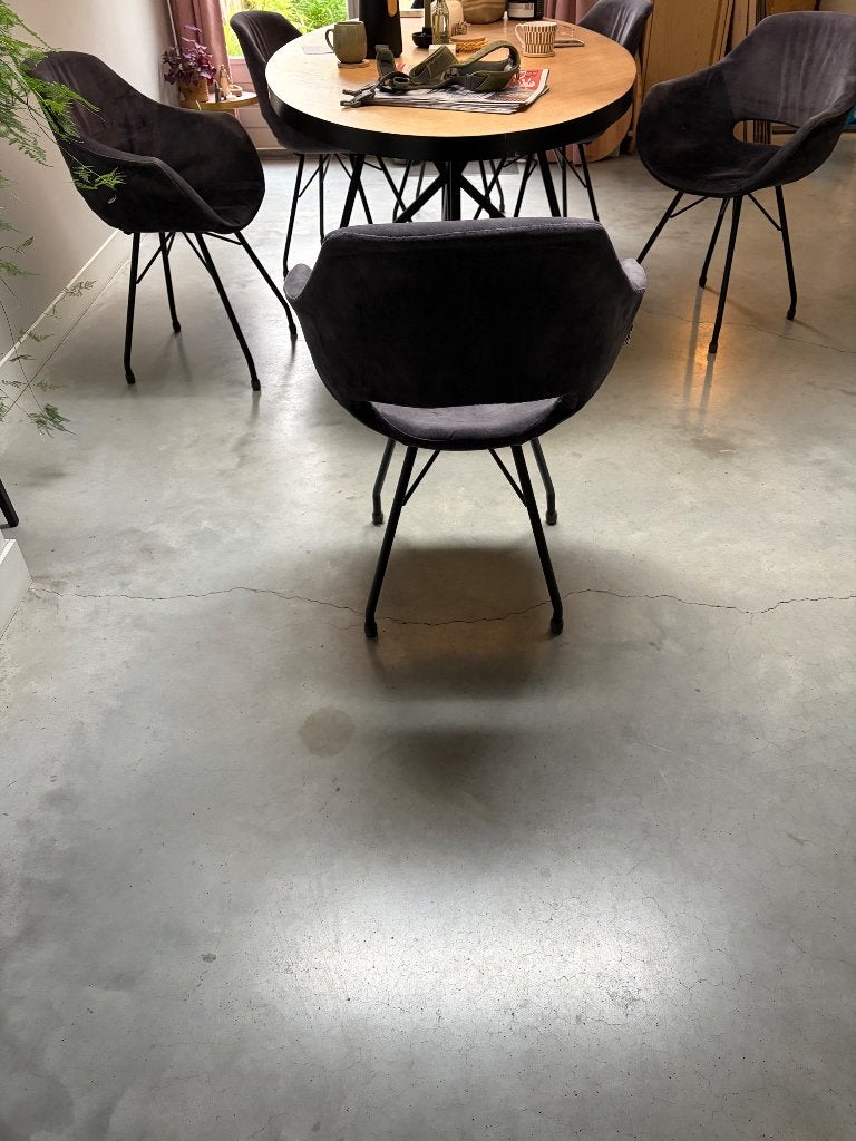 eetkamer stoelen, Huis en Inrichting, Ophalen, Gebruikt, Kunststof, Grijs