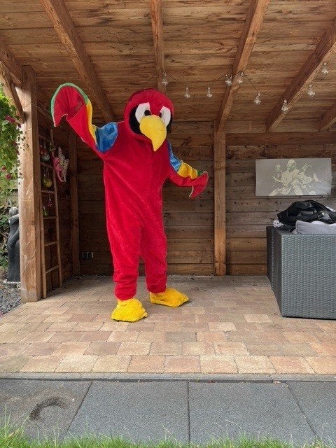mascotte kostuum te huur voor slechts 15 20 25 30 euro, Ophalen of Verzenden, Zo goed als nieuw, Overige