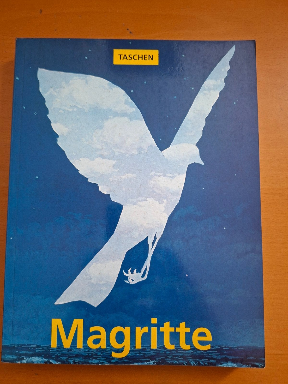 Kunstboeken: Magritte, Ensor, Paul Klee - Taschen, Ophalen, Zo goed als nieuw, Schilder- en Tekenkunst, Diverse auteurs (Taschen)