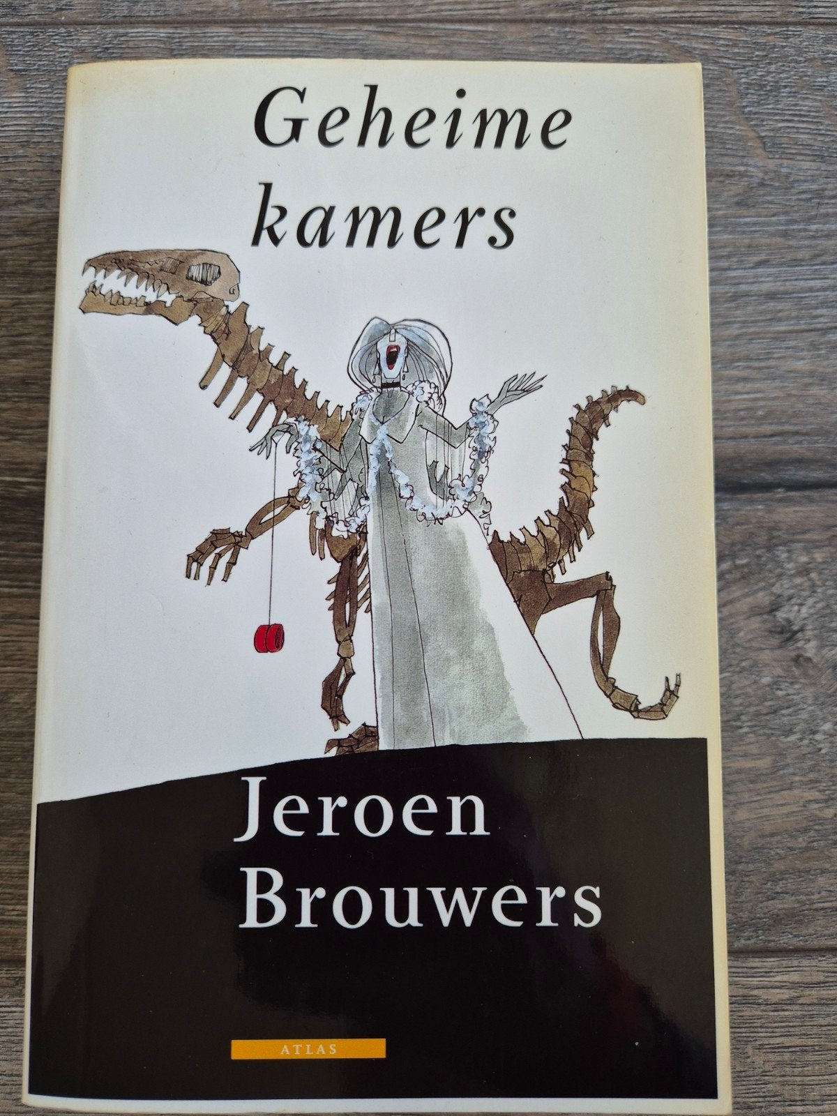 Geheime kamers - Jeroen Brouwers (Boek), Ophalen of Verzenden, Gelezen, Jeroen Brouwers, Nederland