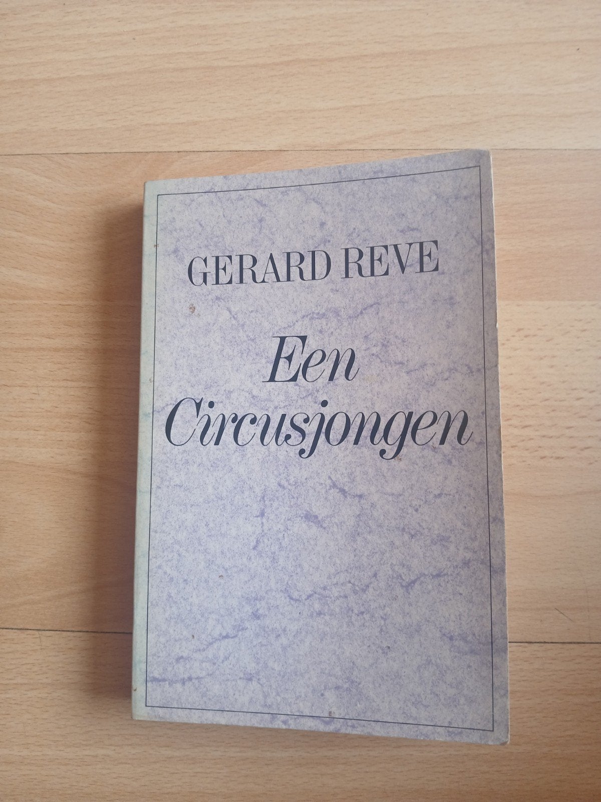 Gerard Reve - Een Circusjongen (Boek), Boeken, Ophalen of Verzenden, Gelezen, Gerard Reve