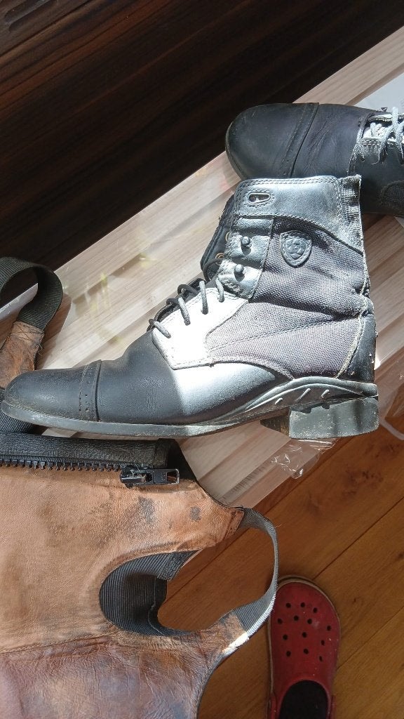 Ariat Jophers en Chaps, Dieren en Toebehoren, Ophalen of Verzenden, Zwart, Schoeisel