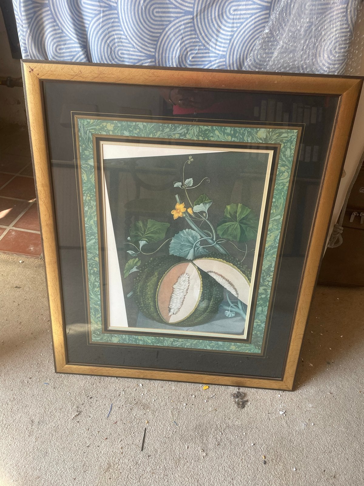 Vintage botanische print van meloen - Ingelijst, Antiek en Kunst, Kunst | Schilderijen | Klassiek, Print, Overige onderwerpen
