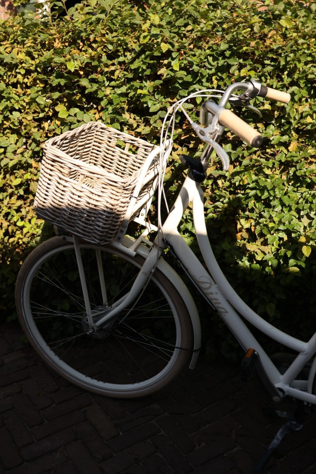 Batavus Diva Damesfiets • met mand, Ophalen, Versnellingen, Batavus, 53 tot 56 cm