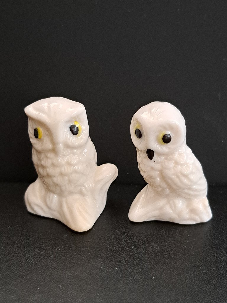 Set van 2 Witte Uilen Beeldjes - Decoratieve Uilen, Ophalen of Verzenden, Zo goed als nieuw, Dier