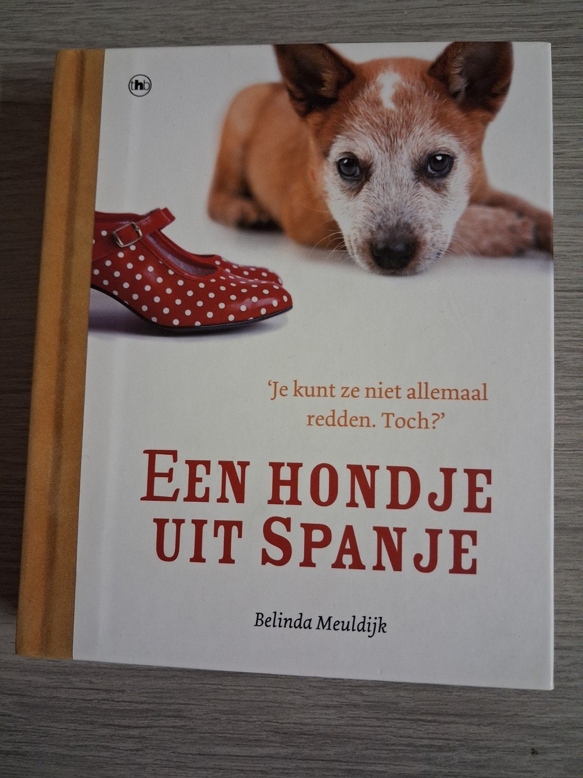 Belinda Meuldijk - Een hondje uit Spanje, Boeken, Ophalen of Verzenden, Gelezen, Belinda Meuldijk