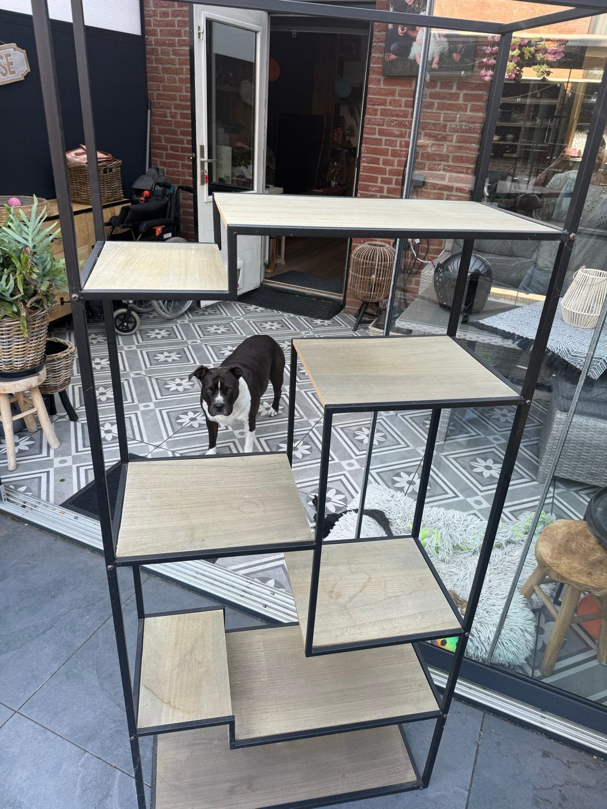 Vakkenkast - Stijlvolle open kast met metalen frame, Ophalen, Met plank(en), Gebruikt, 200 cm of meer