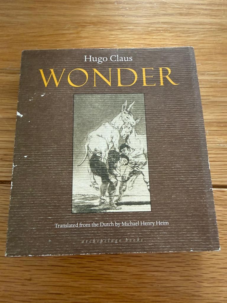 Hugo Claus - Wonder, Boeken, Ophalen of Verzenden, Zo goed als nieuw, Hugo Claus
