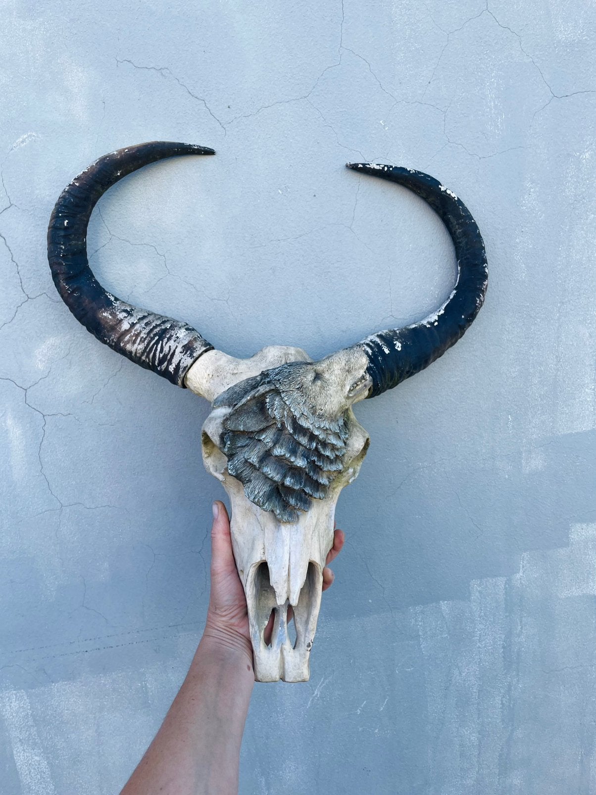 Decoratieve Waterbuffelschedel, Huis en Inrichting, Western, Wandsculptuur, Ophalen of Verzenden, Zo goed als nieuw
