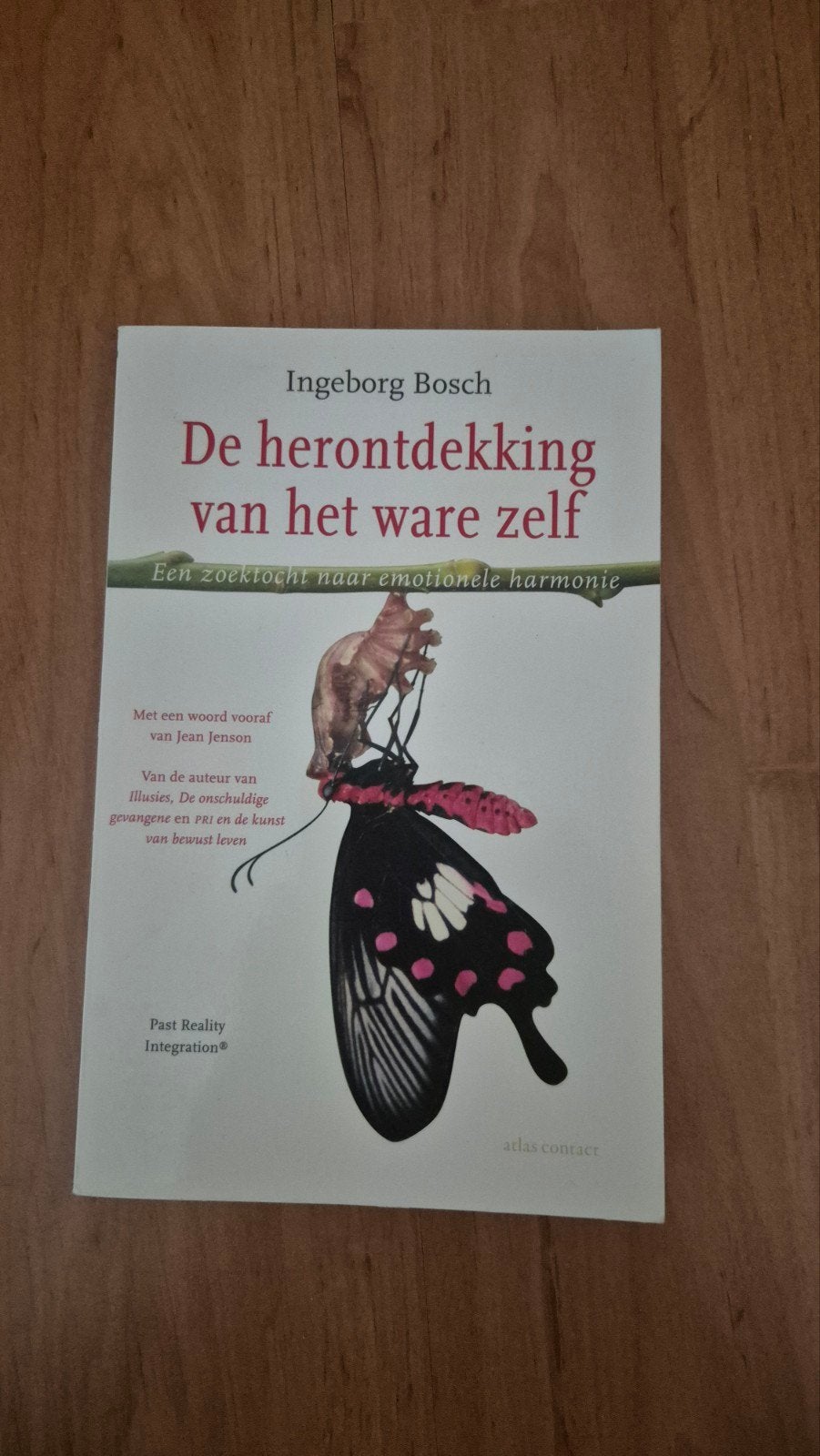 De herontdekking van het ware zelf - Ingeborg Bosch, Boeken, Romans, Gelezen, Nederland, Ophalen of Verzenden