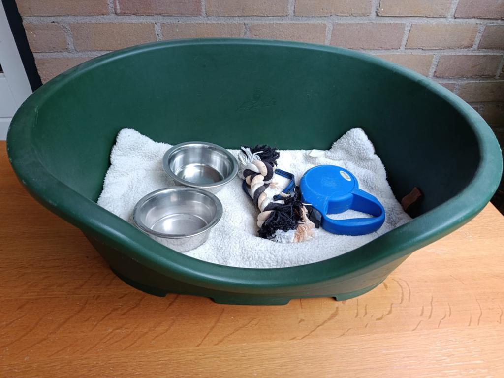 Hondenmand, Dieren en Toebehoren, Hondenmanden, Ophalen of Verzenden