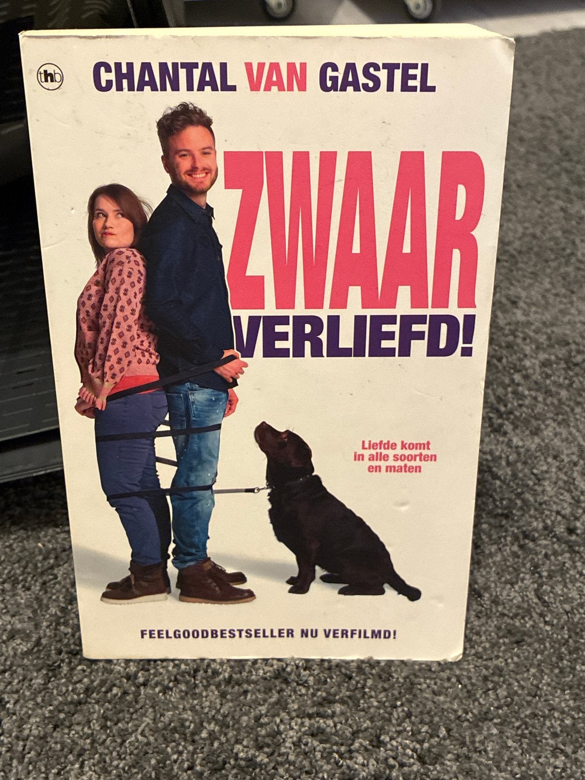 Zwaar Verliefd! - Chantal van Gastel (Feelgoodroman), Ophalen of Verzenden, Gelezen, Nederland
