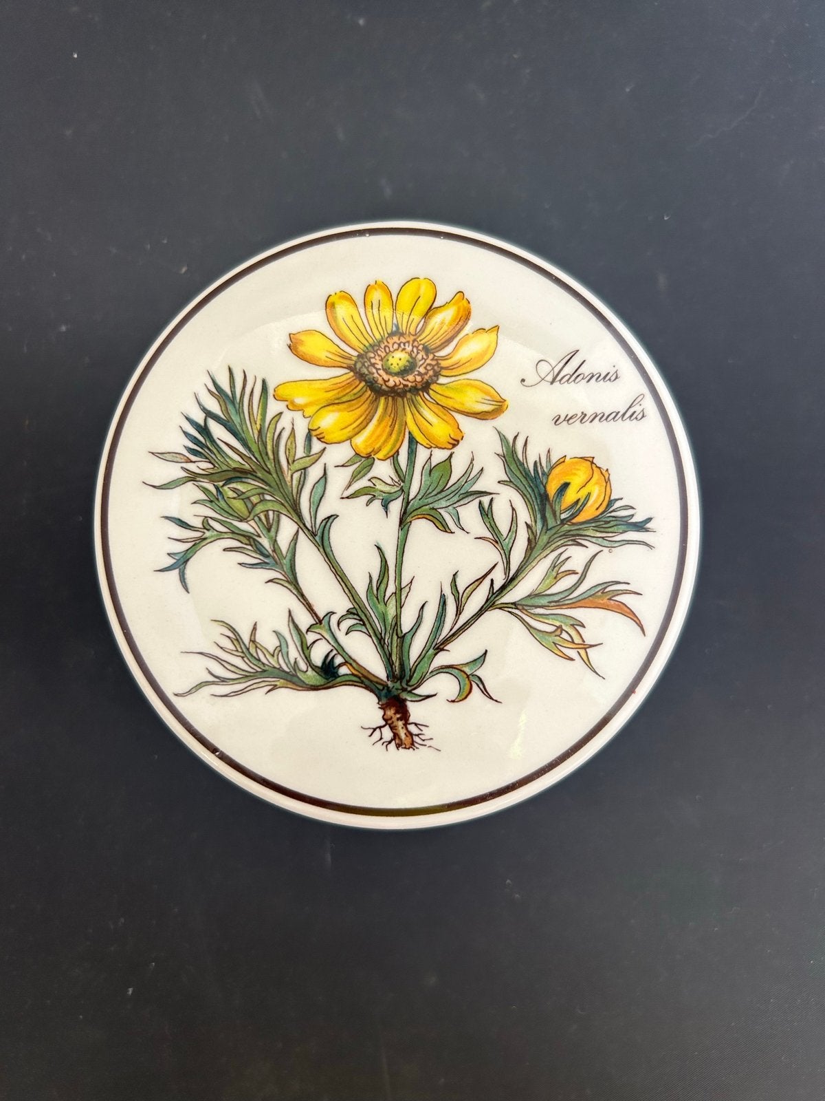 Villeroy & Boch Botanica Adonis Vernalis Doosje, Ophalen