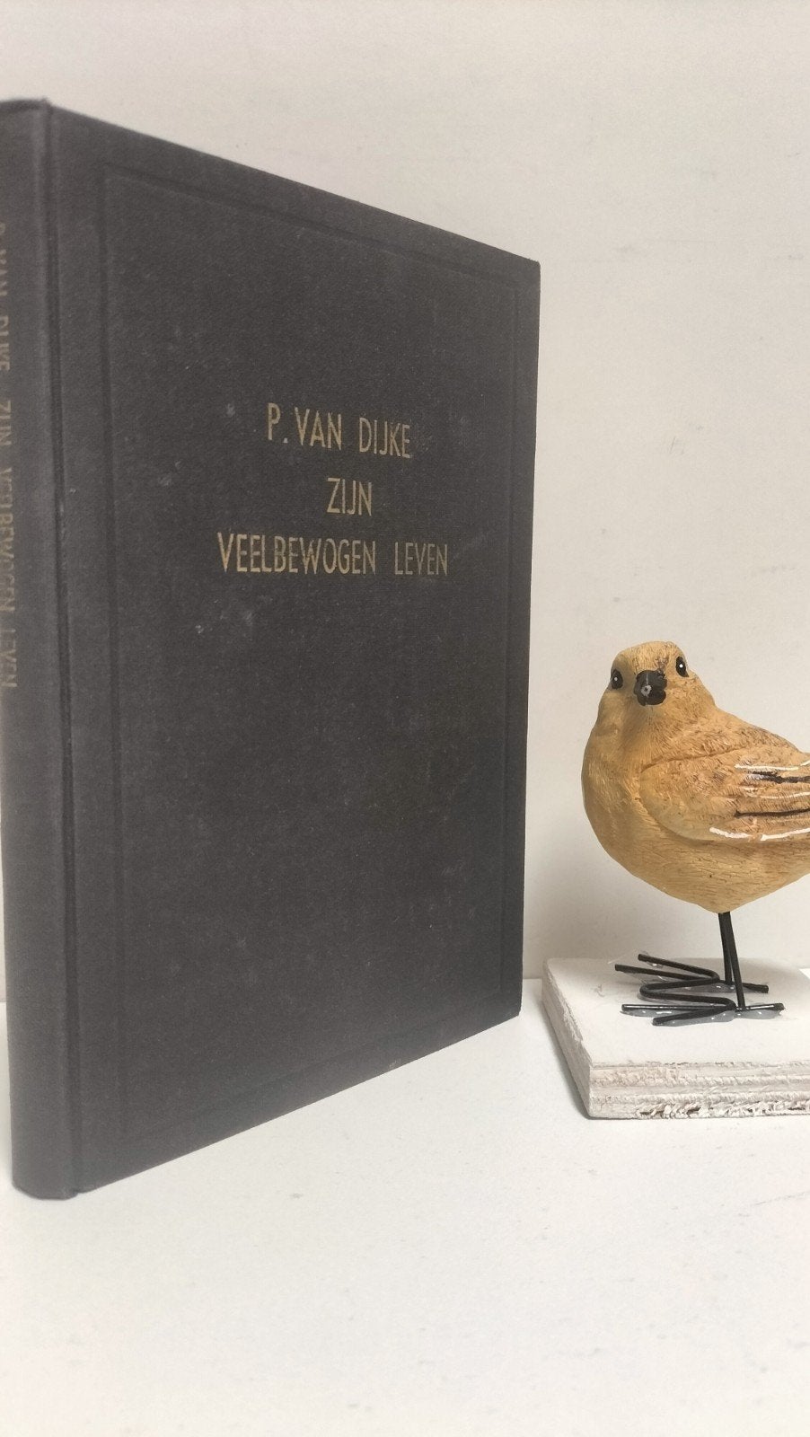 Dijke, P. van; Het veelbewogen leven  en de rijkgezegende, Ophalen of Verzenden, Gelezen, Christendom | Protestants
