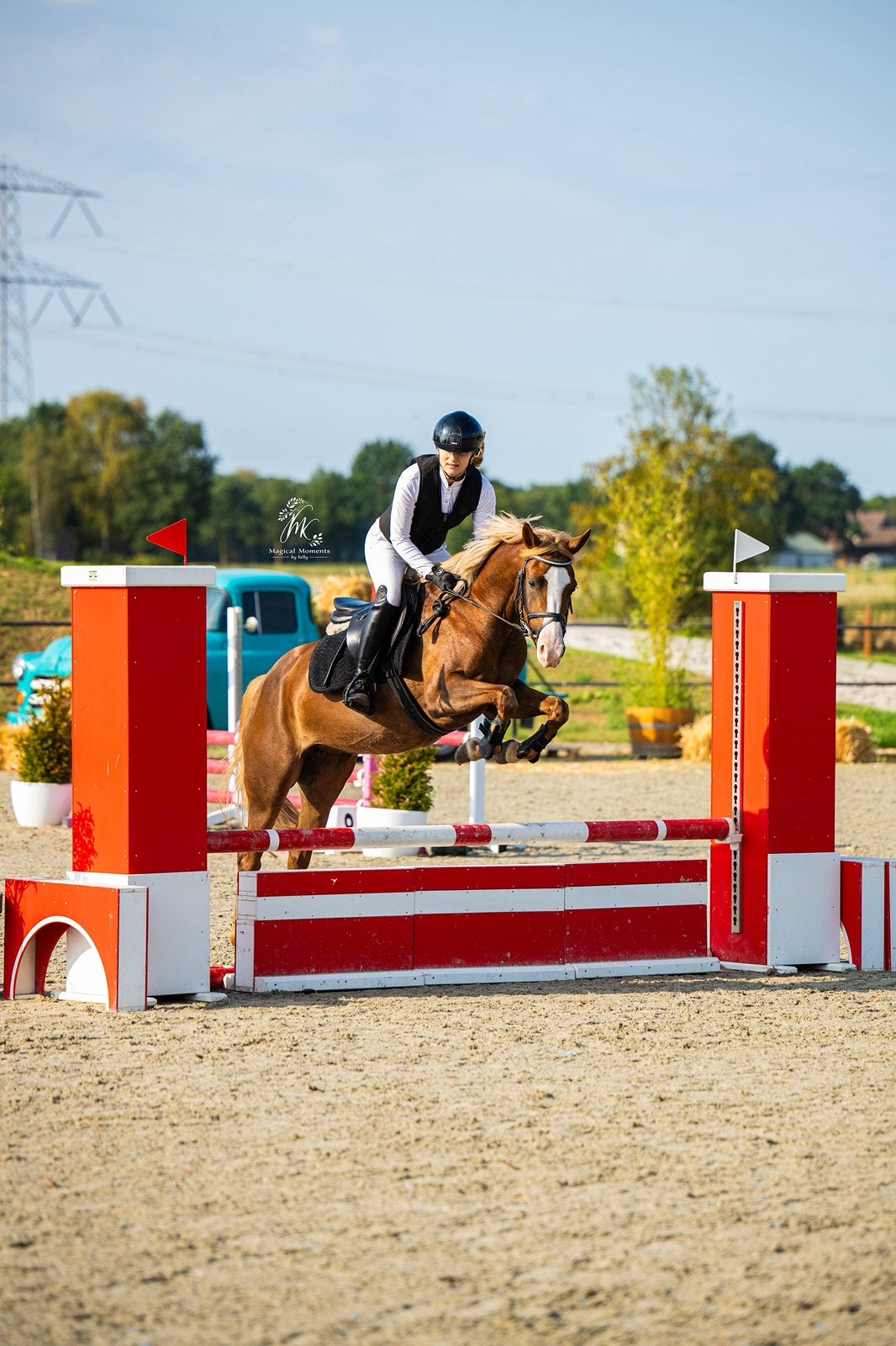 4 jarige sportpony, Dieren en Toebehoren, Pony's, Merrie, 3 tot 6 jaar