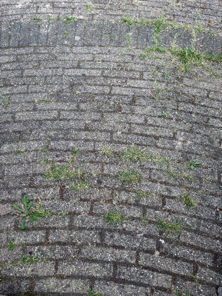 Gebruikte betontegels en klinkers 50 - 70 m2 - af te halen, Ophalen, Overige materialen, Gebruikt, 10 m² of meer