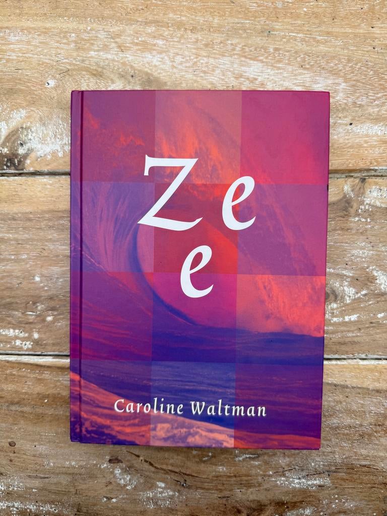 Ze - Caroline Waltman (Roman over herseninfarct), Verzenden, Gelezen, Overige onderwerpen, Verhaal of Roman