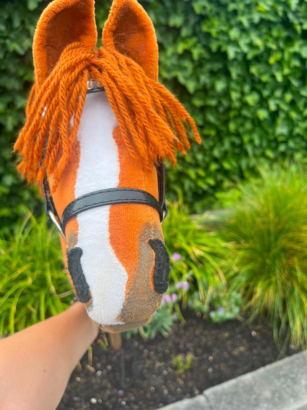 Hobbyhorse met veel spullen, Ophalen, Zo goed als nieuw