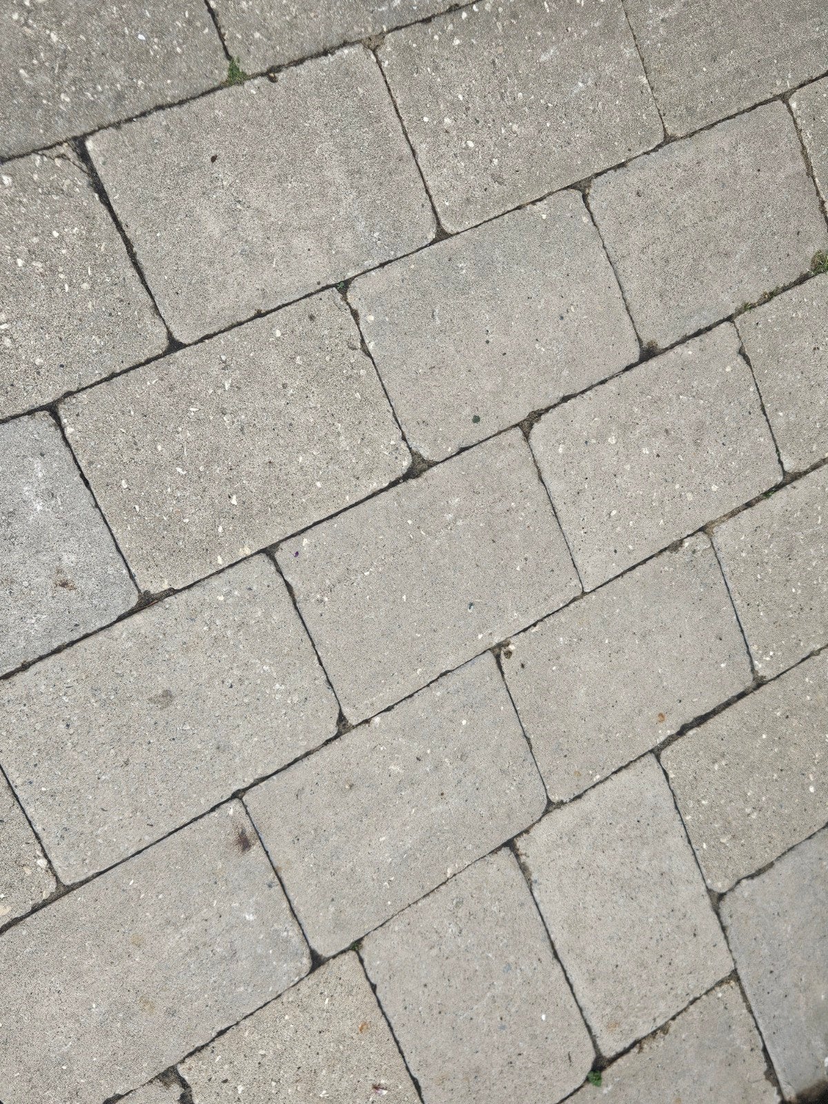 GRATIS: 11 m2 (of minder mag ook) getrommelde betontegels, Ophalen, Gebruikt, Beton, Terrastegels