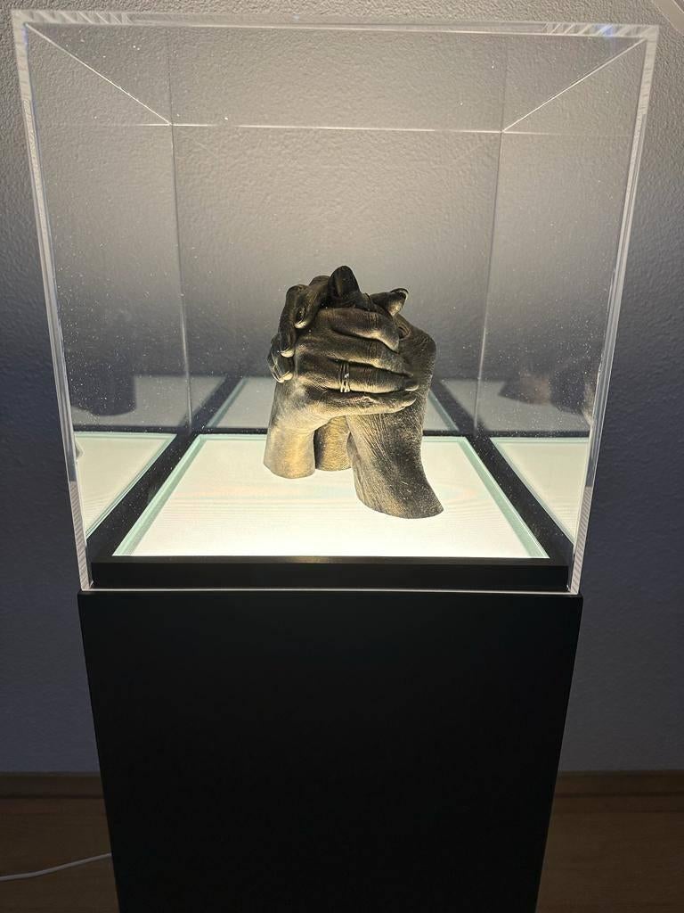Luxe SOKKEL | ZUIL | PILAAR | met verlichting en vitrine kap, Ophalen of Verzenden, Nieuw
