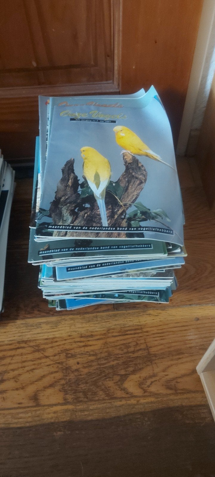 Onze Vogels maandblad jaren '90 t/m 2005, Ophalen of Verzenden, Gelezen, Wetenschap en Natuur
