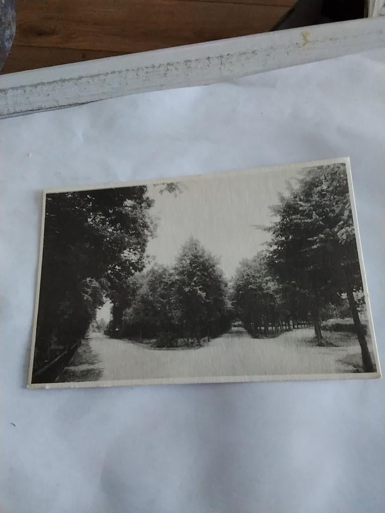 ERMELO DRIESPRONG HORSTERWEG    16, Ophalen of Verzenden, 1960 tot 1980, Gelderland