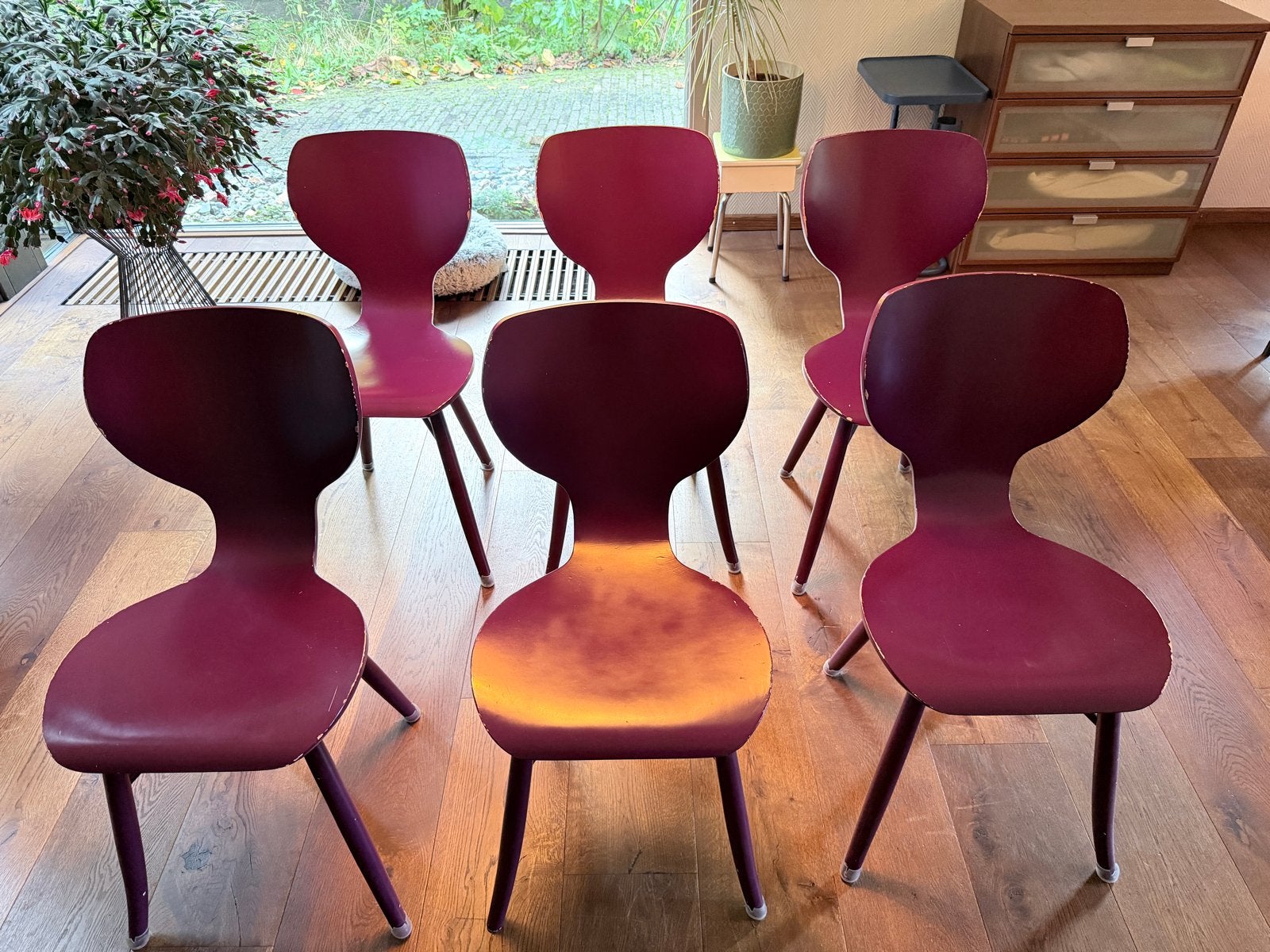 6x Linteloo Tulipani stoelen, Dutch design door Roderick Vos, Ophalen