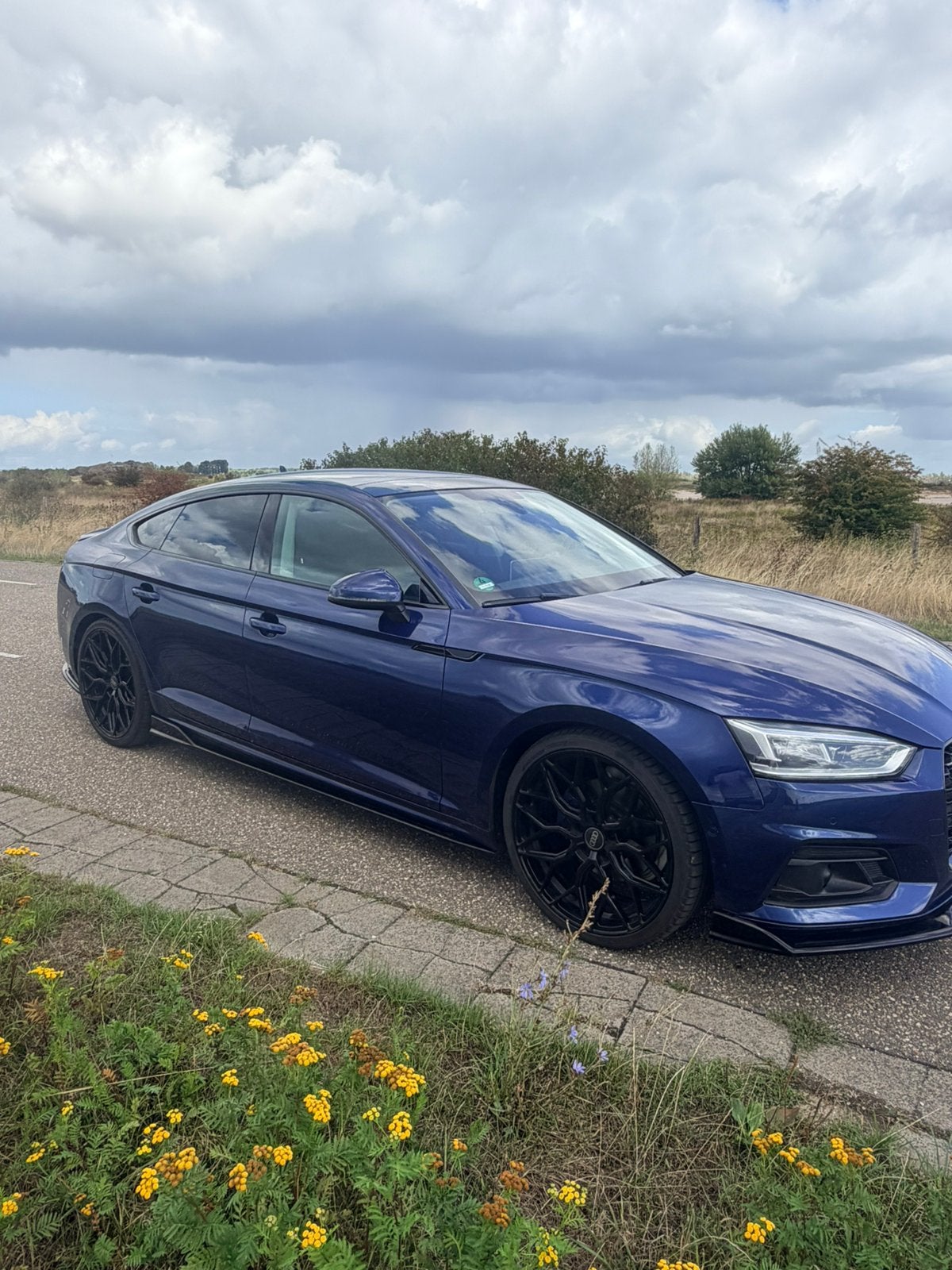 Audi A5 2.0 Tfsi Mhev 190pk S Tronic 2018 Blauw, Auto's, 1984 cc, Blauw, Leder, 75 €/maand