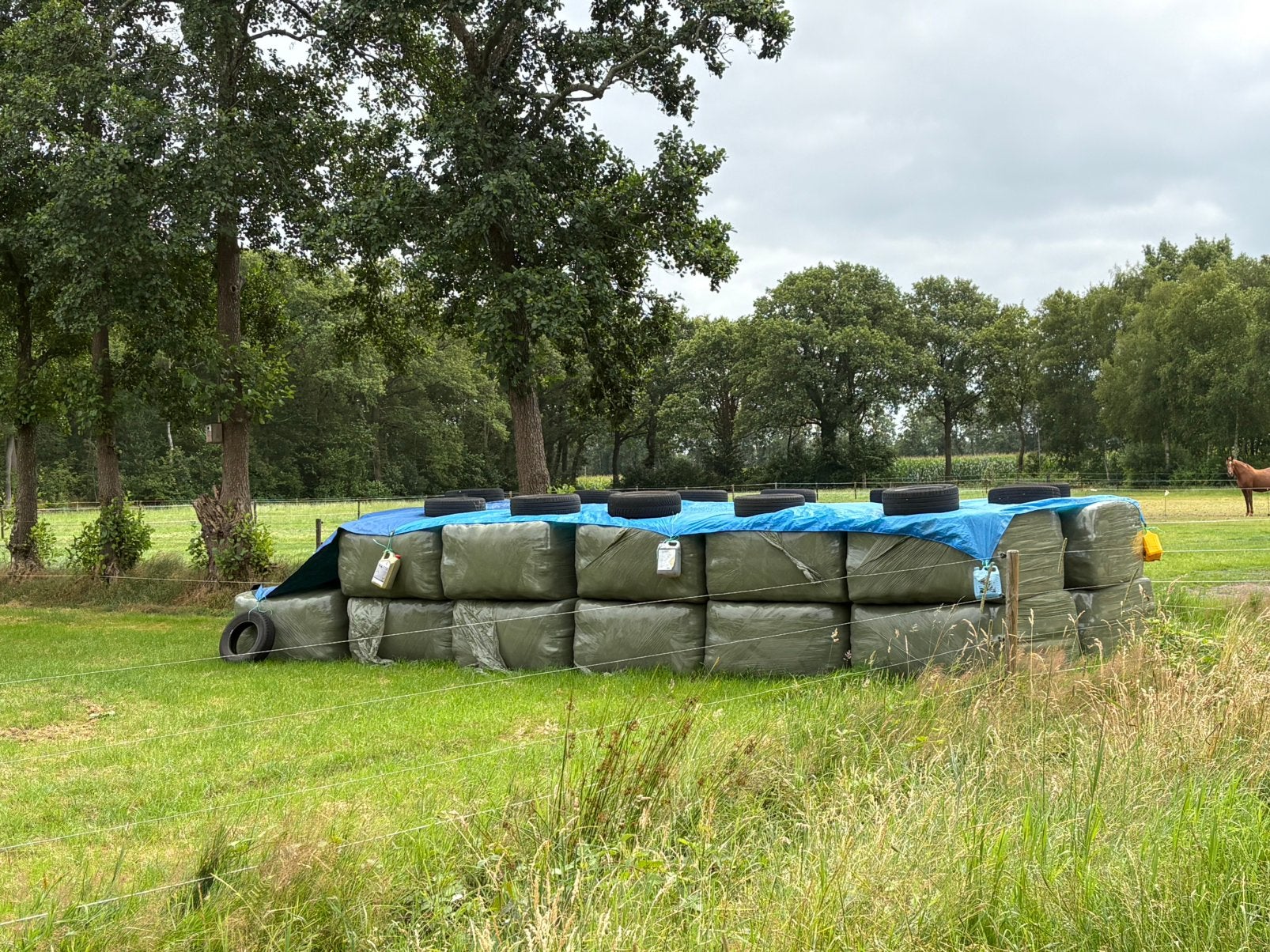 23 grote krohne kuilpakken, Ophalen, Vee
