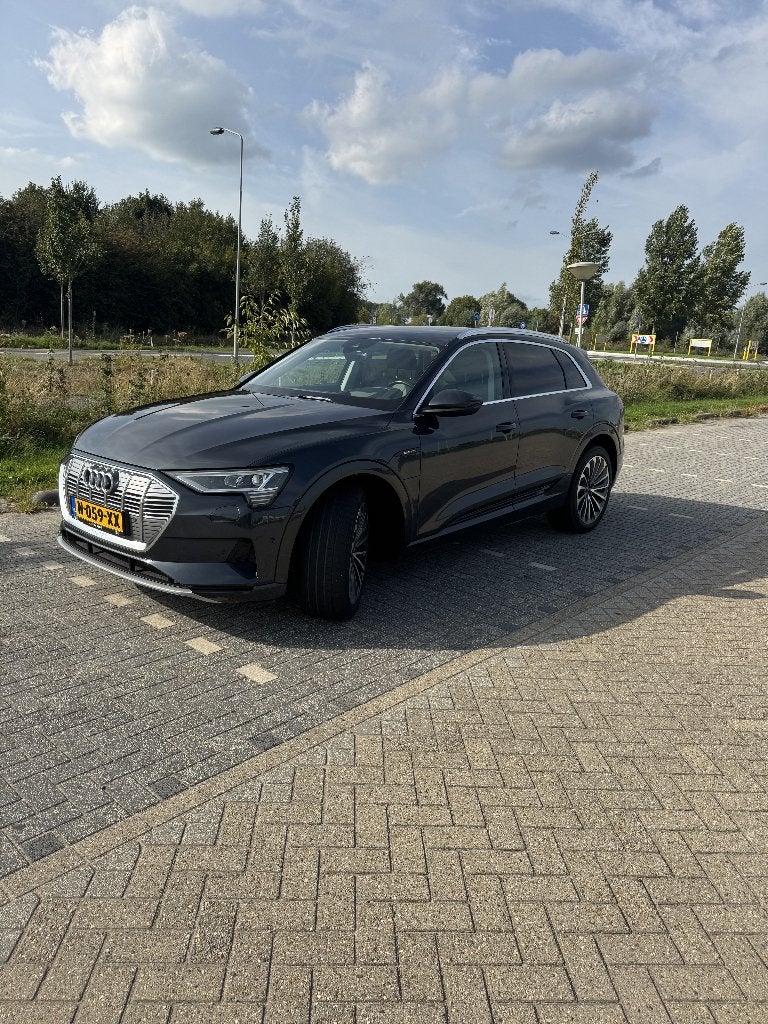Audi e-tron 50 Quattro 313pk 2020 Grijs, Dealer onderhouden, 1800 kg, 95 pk, Elektrisch