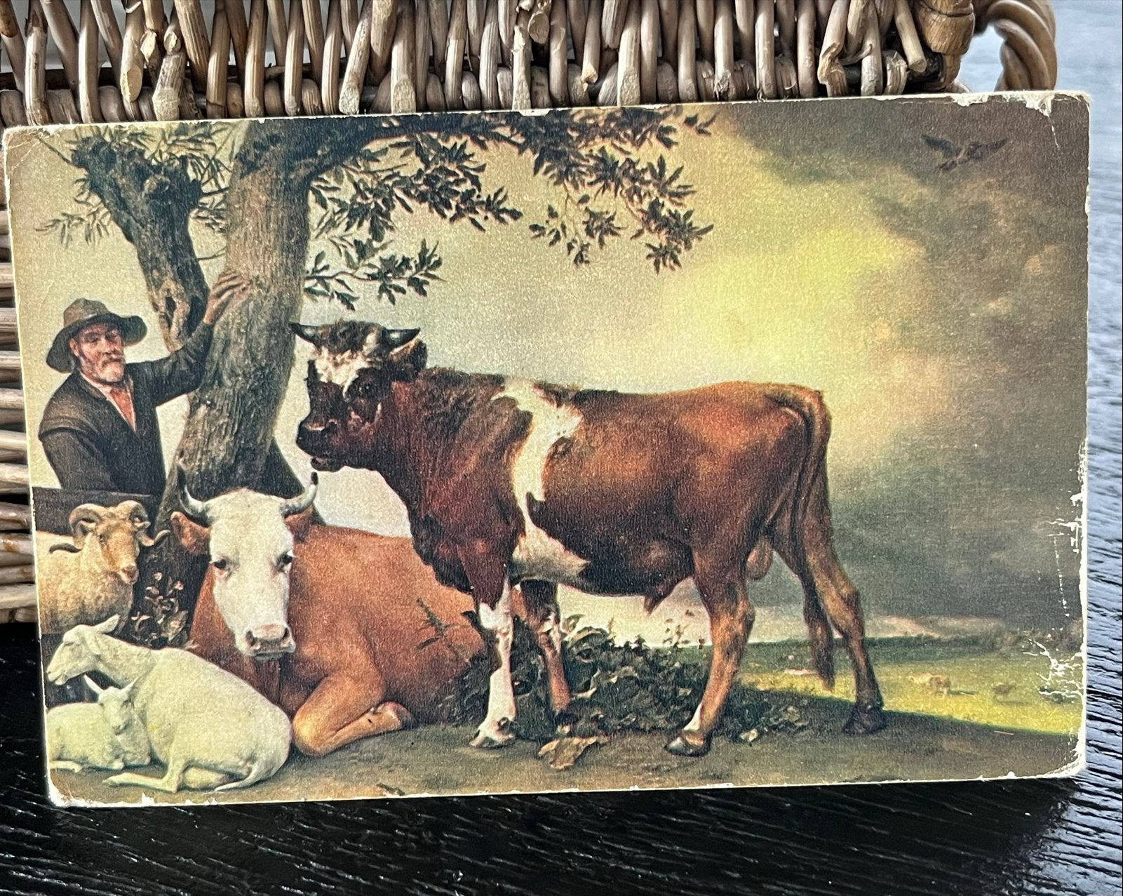 Ansichtkaart 'De Stier' van Paulus Potter - Mauritshuis, Verzenden, Voor 1920, Ongelopen, Zuid-Holland
