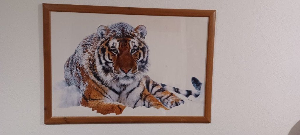 Fotolijst, Huis en Inrichting, Woonaccessoires | Lijsten, Zo goed als nieuw, Fotolijst, Ophalen of Verzenden