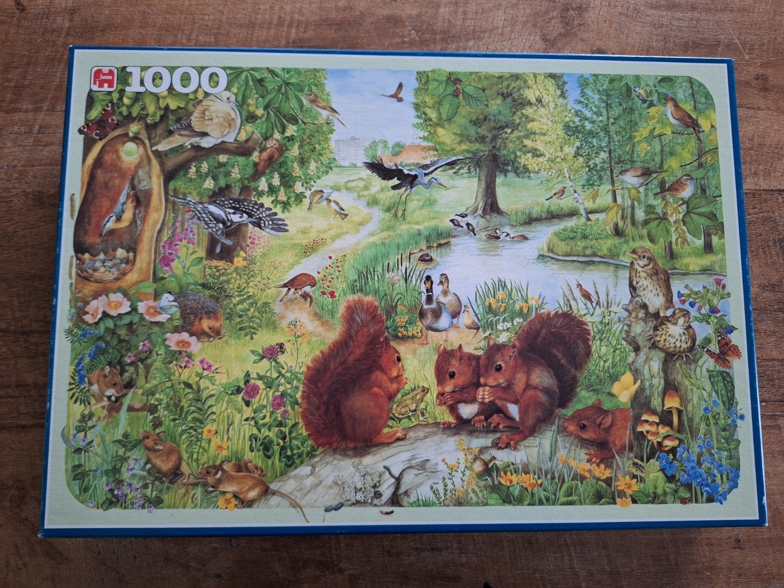 jumbo puzzel natuur 1000 stukjes, Ophalen of Verzenden, 500 t/m 1500 stukjes, Zo goed als nieuw, Legpuzzel
