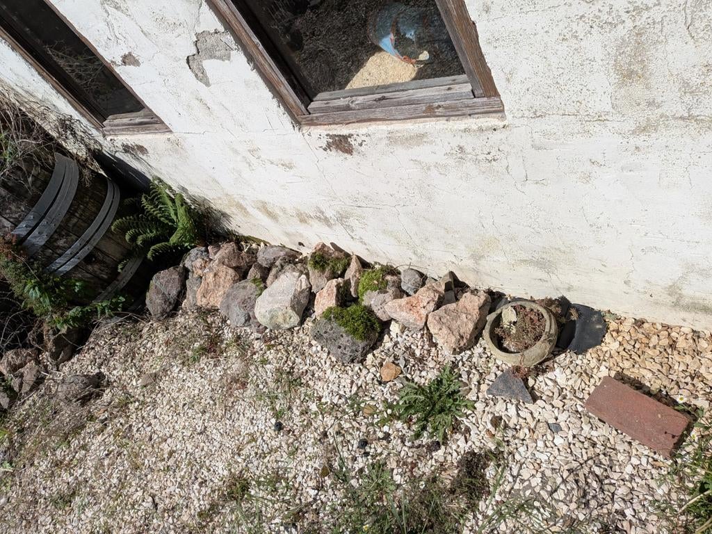 GRATIS Decoratieve rotsen en keien voor tuin of landschap, Tuin en Terras, Grind, Keien en Split, Ophalen, Overige materialen