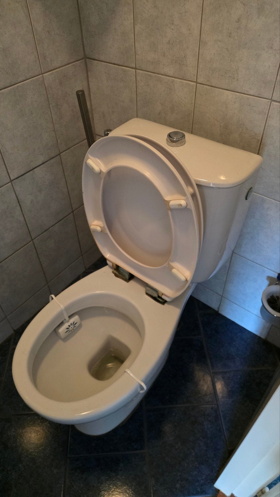 compelete wc toilet, Ophalen, Zo goed als nieuw, Steen, Toilet