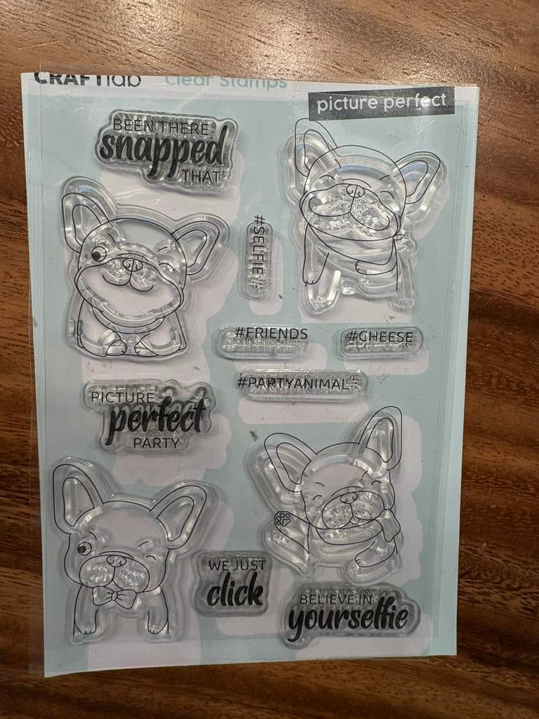 C Craftlab stempel picture perfect, Ophalen of Verzenden, Zo goed als nieuw