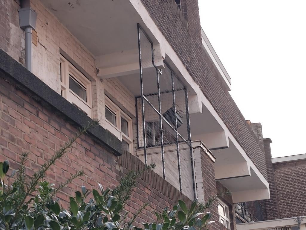 Kattenren balkon catio, Dieren en Toebehoren, Katten-accessoires, Gebruikt, Ophalen