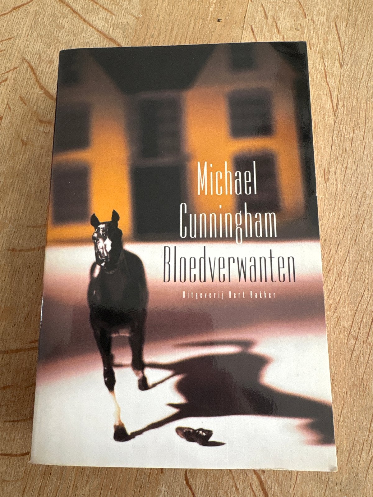 Bloedverwanten - Michael Cunningham (roman), Ophalen of Verzenden, Gelezen, Nederland