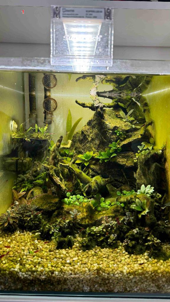 Superfish Scaper 60 aquaria, Dieren en Toebehoren, Vissen | Aquaria en Toebehoren, Ophalen, Gebruikt, Inclusief toebehoren, Overige merken