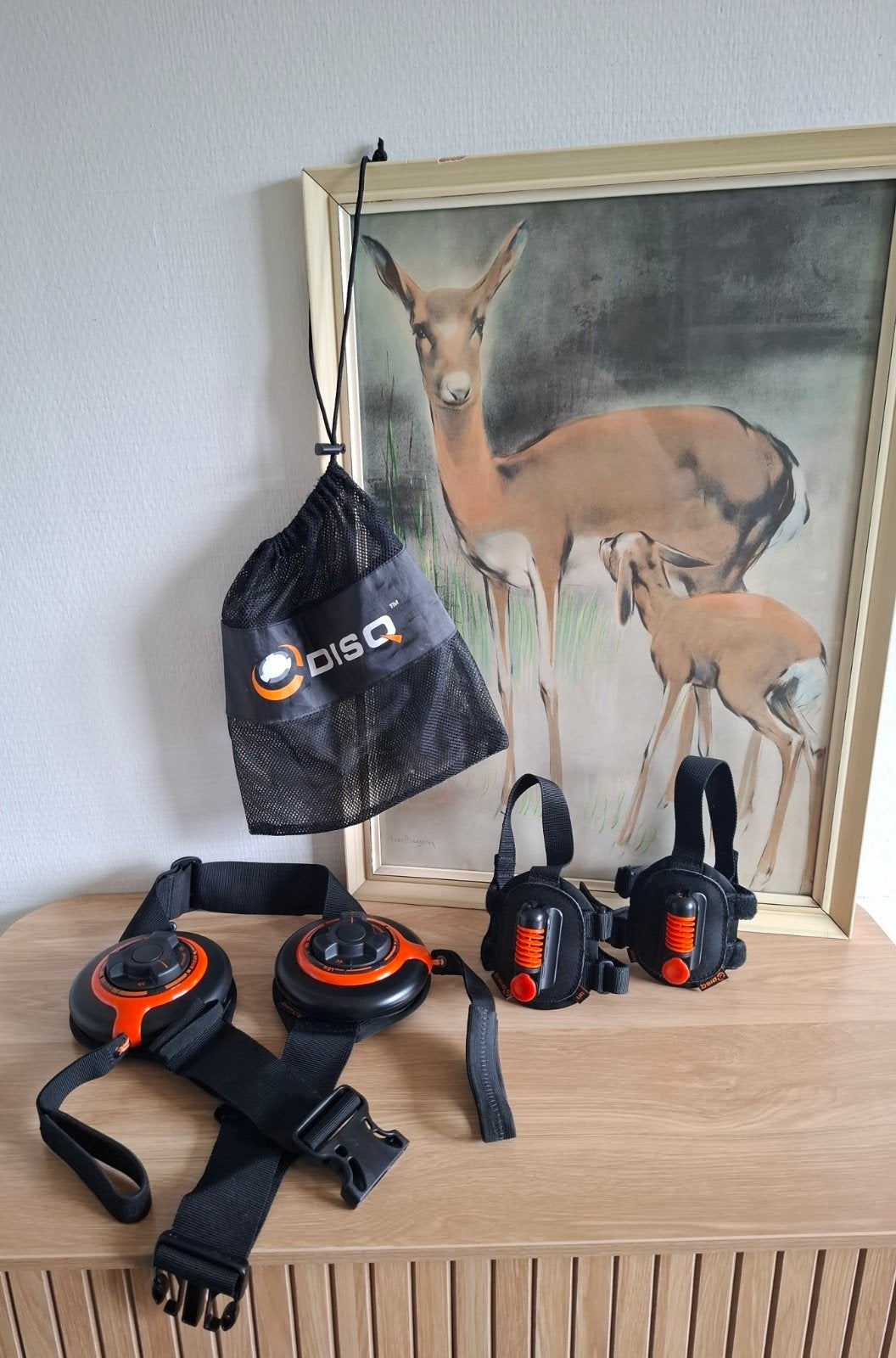 DISQ - mobile gym, Ophalen of Verzenden, Zo goed als nieuw