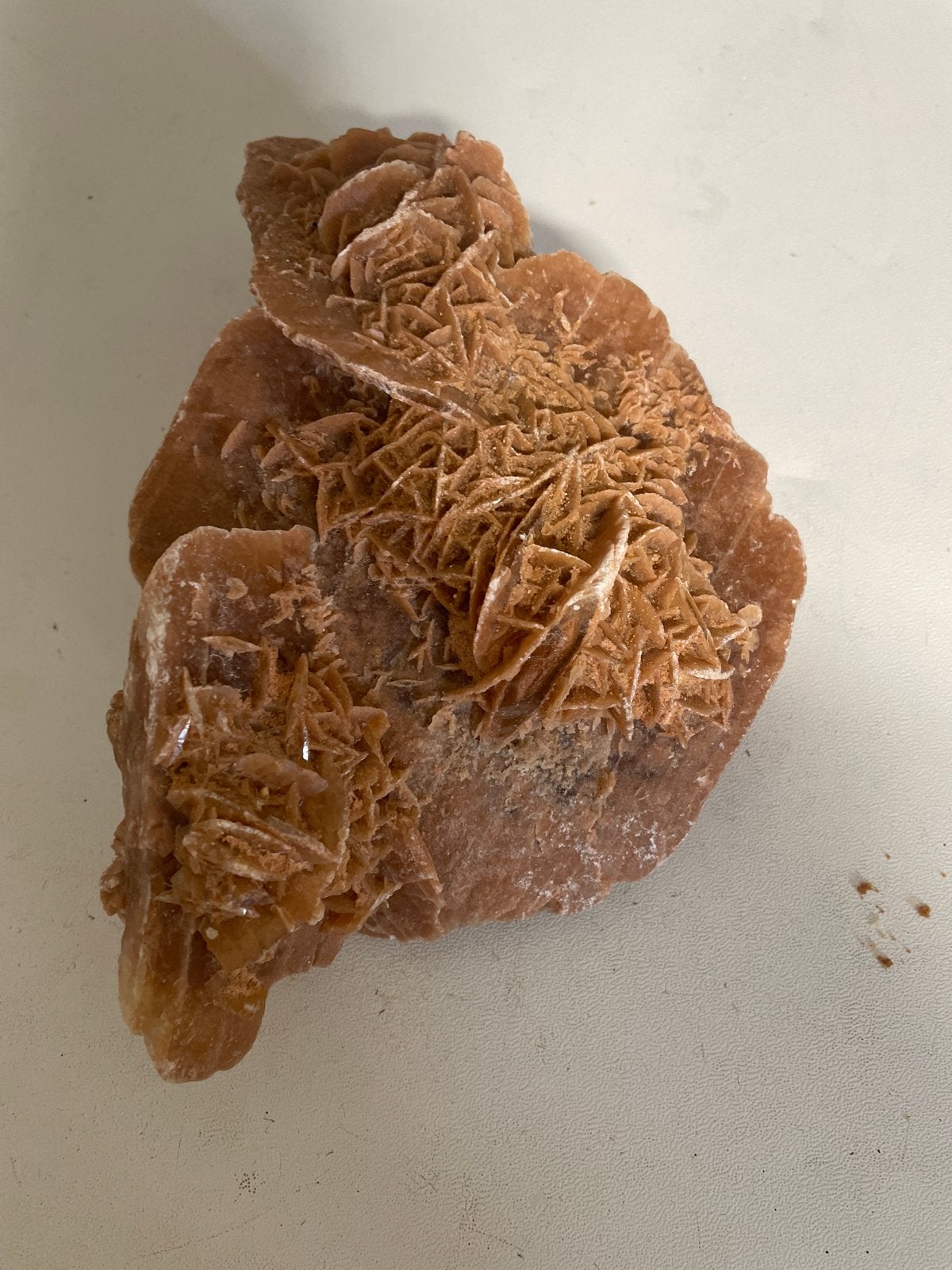 Woestijnroos uit Namibië - Uniek Mineraal, Ophalen of Verzenden, Mineraal