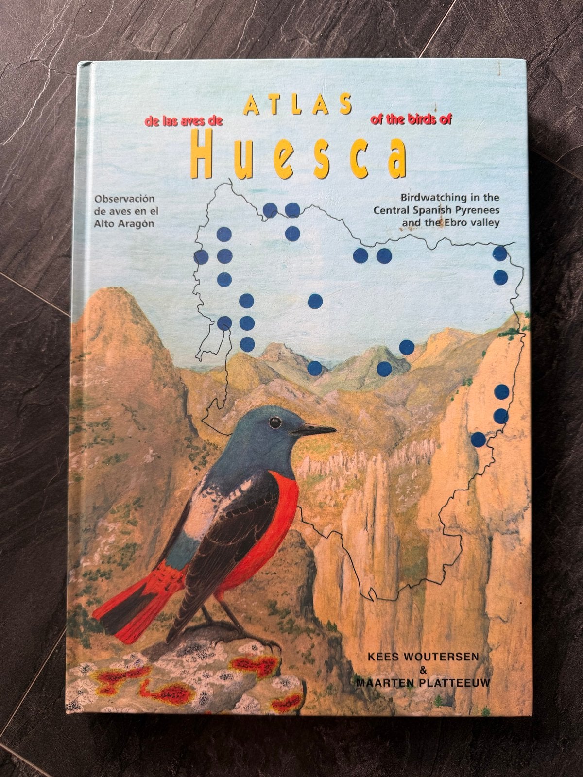 Atlas van de vogels van Huesca - Kees Woutersen, Ophalen of Verzenden, Zo goed als nieuw, Vogels
