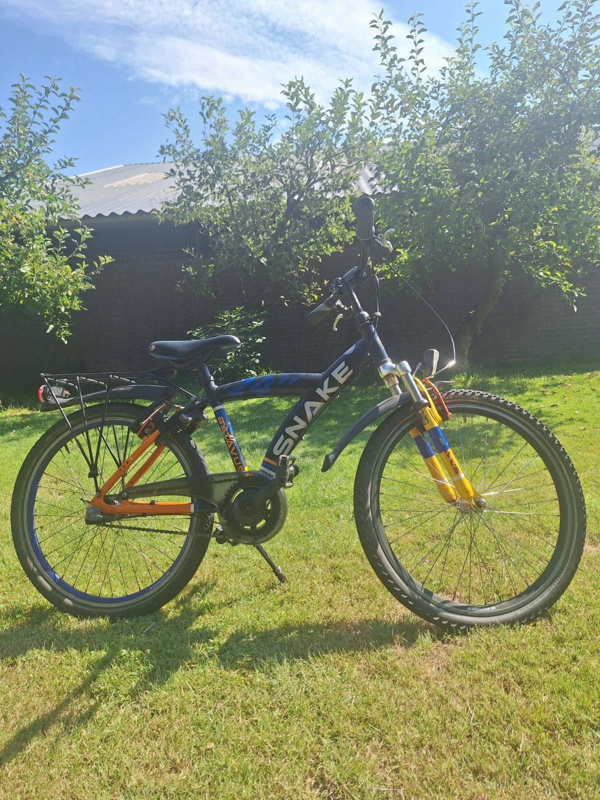 Batavus snake jongensfiets 24 inch, Ophalen, Terugtraprem, Versnellingen, Batavus Snake