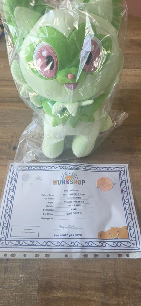 Build-A-Bear Pokémon Sprigatito knuffel met certificaat, Kinderen en Baby's, Speelgoed | Knuffels en Pluche, Groen, Overige typen