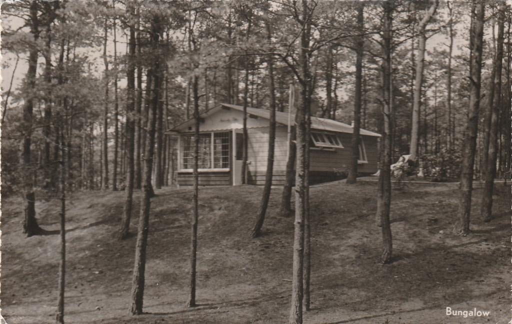 oldebroek- beltgraven, Ophalen of Verzenden, 1940 tot 1960, Friesland